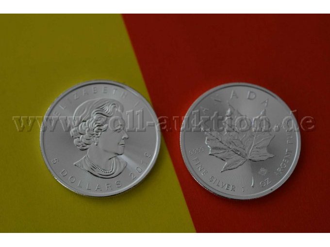 5 Kanadische 
Dollar aus 
999,9- Silber