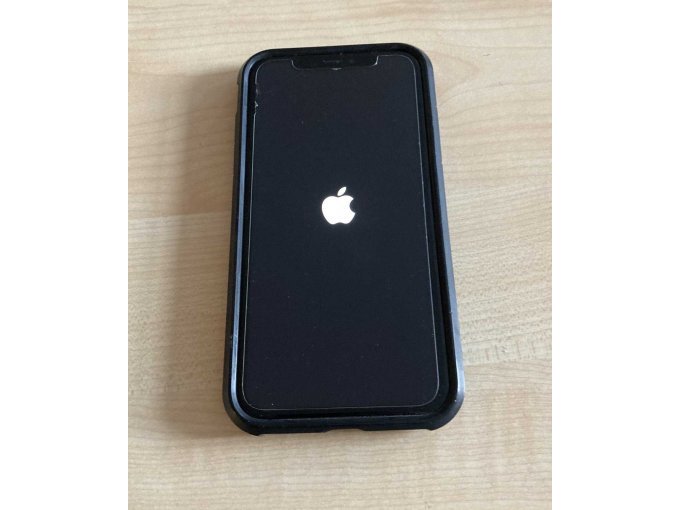 iPhone XR Apple Logo