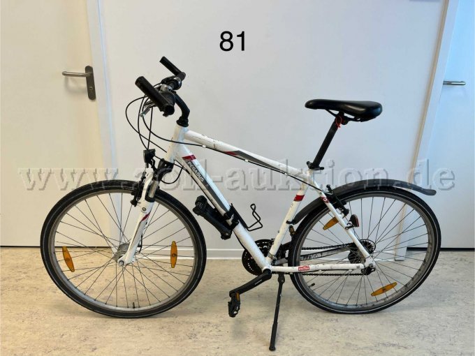 Crossbike von Pegasus