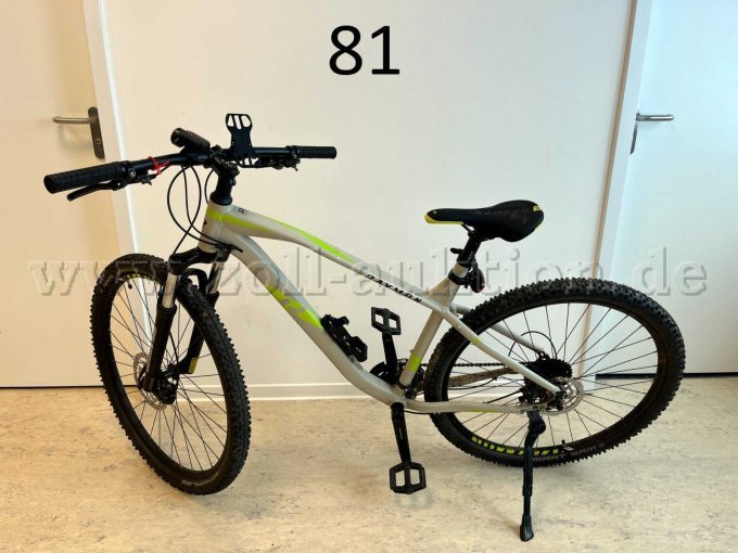 Mountainbike von Raymon