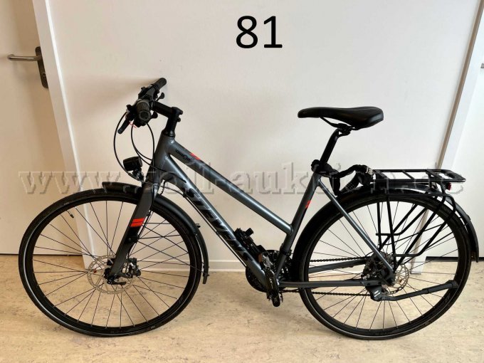 Trekking-Rad von Stevens