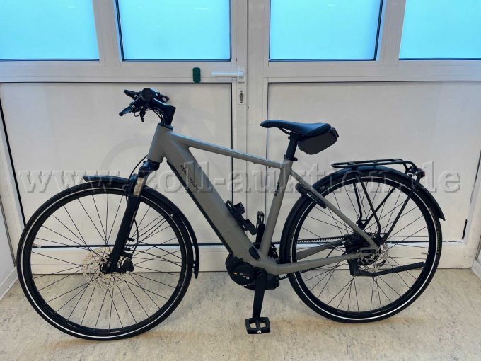 E-Bike von Riese & Müller