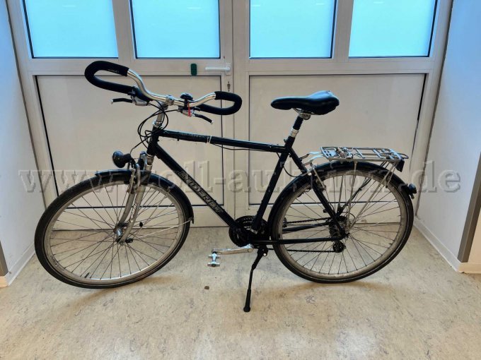 Trekking-Rad von Gudereit