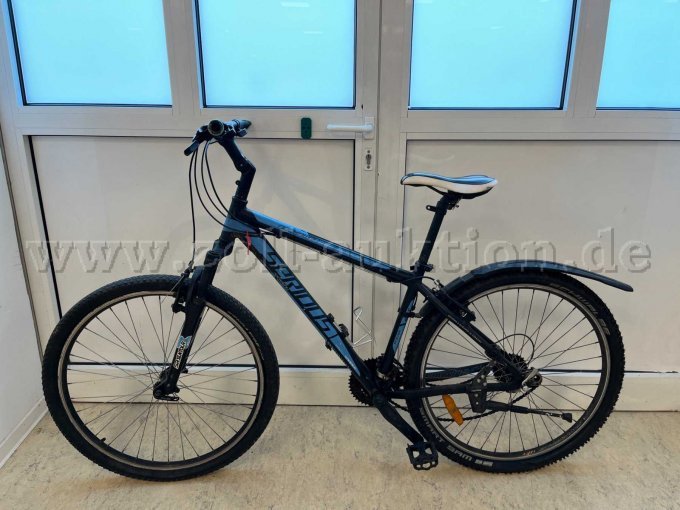 Mountainbike von Serious