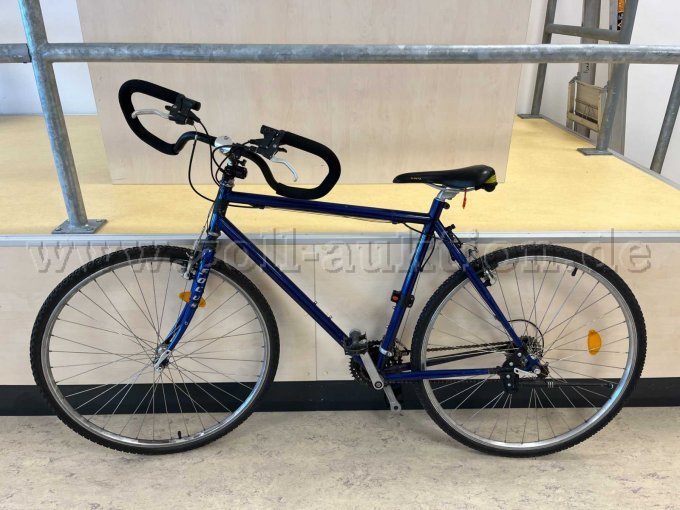 Fitness-Bike von Focus