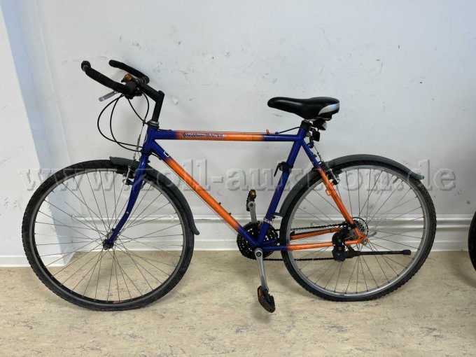 Touren-Rad von Heidemann