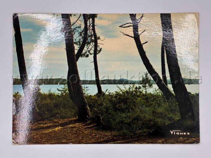 Postkarte See
