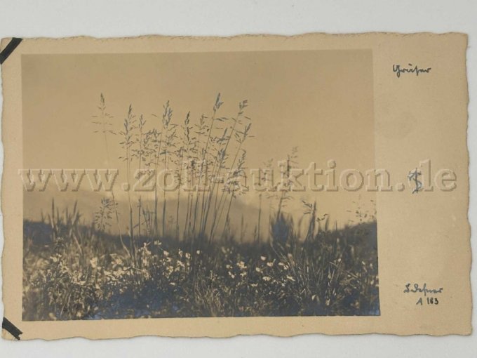 Postkarte Feld