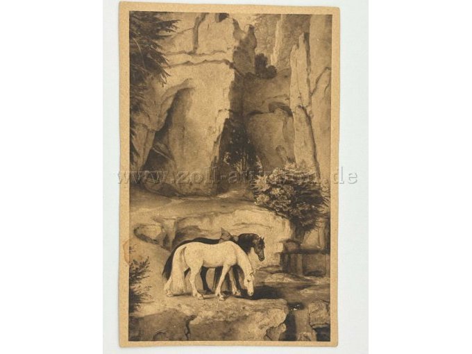 Postkarte Pferde