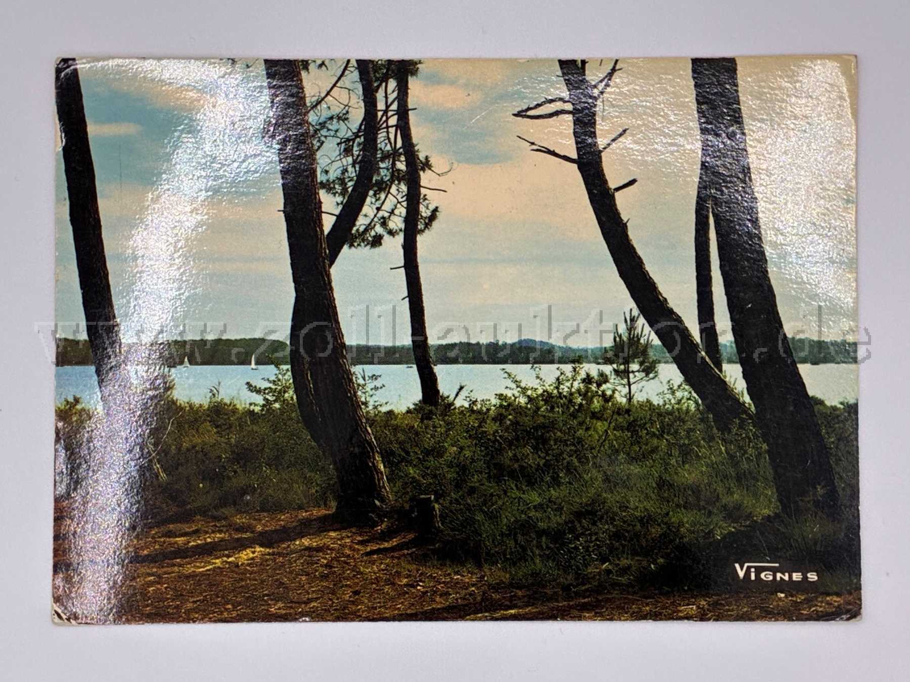 Postkarte See