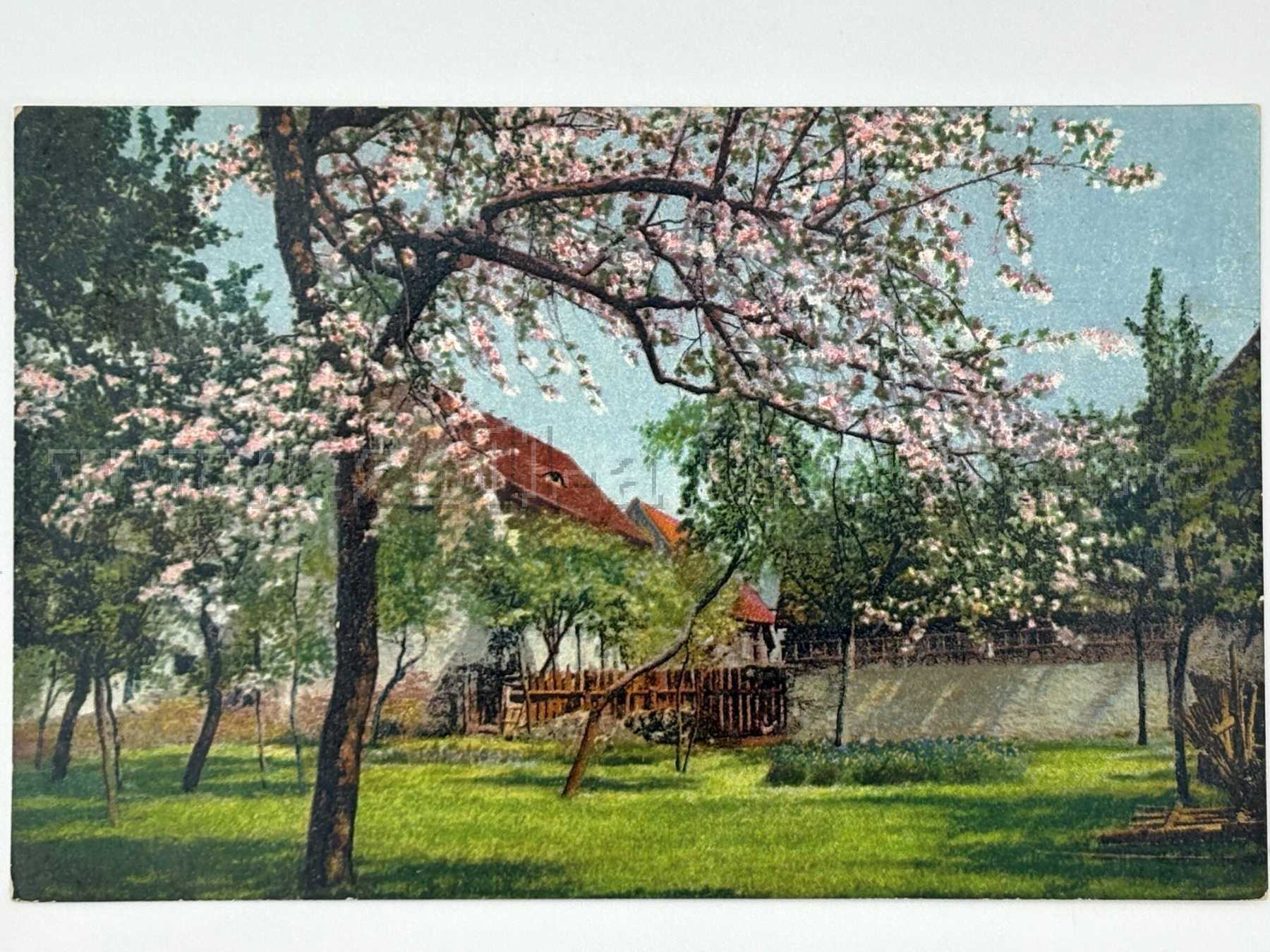 Postkarte Baum