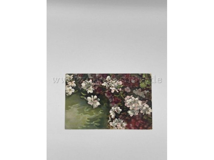 Weiße Blumen