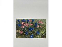 Blaue und rosafarbene Blumen