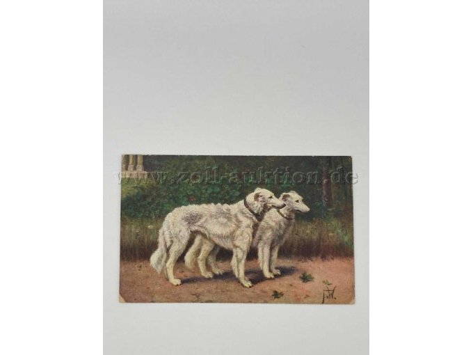 Postkarte 3
2 stehende weiße Hunde