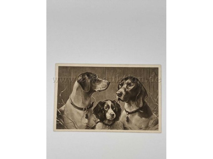 Postkarte 5
3 Hunde