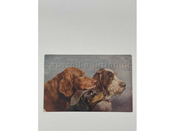 Postkarte 6
3 Hunde