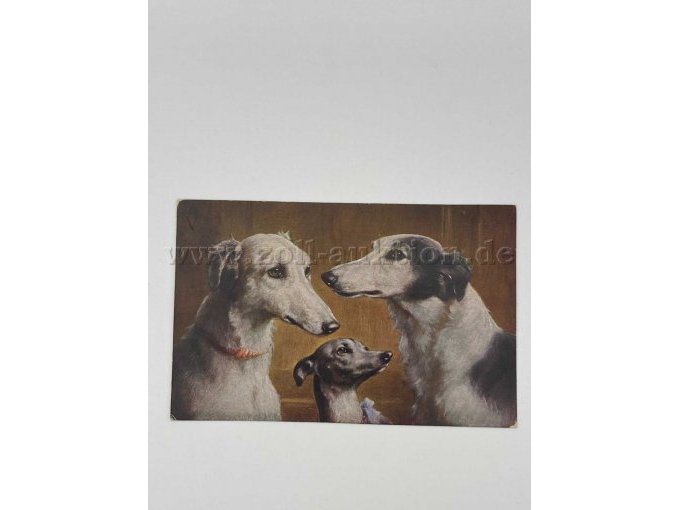 Postkarte 10
3 Hunde