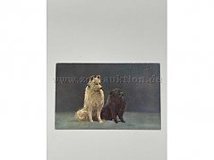 Postkarte 1
2 sitzende Hunde