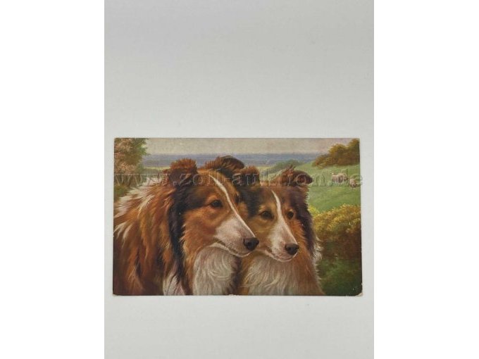 Postkarte 3
2 Hunde