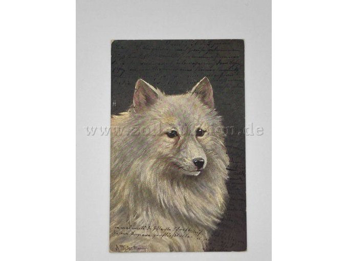 Postkarte 1
Weißer Hund