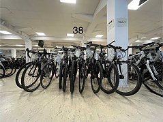 Übersicht Konvolut (von links nach rechts): vsf fahrrad manufaktur, Triban, azzure, Bulls, BTWIN, Trek, Winora, Focus, Bergamont, Hercules