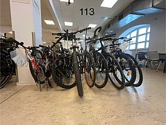 Übersicht Konvolut (von links nach rechts): Riverside, Raleigh, Bicycles, unbekannte Marke, Haibike, Excelsior, Kettler, Stevens, Romet, Elops