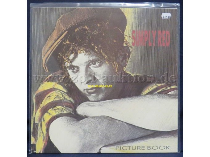 Simply Red "PICTURE BOOK"