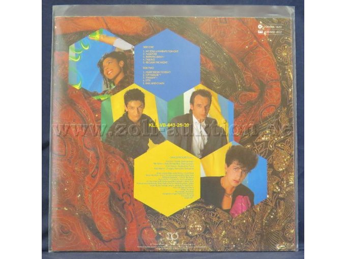 SAVAGE PROGRESS  „CELEBRATION“