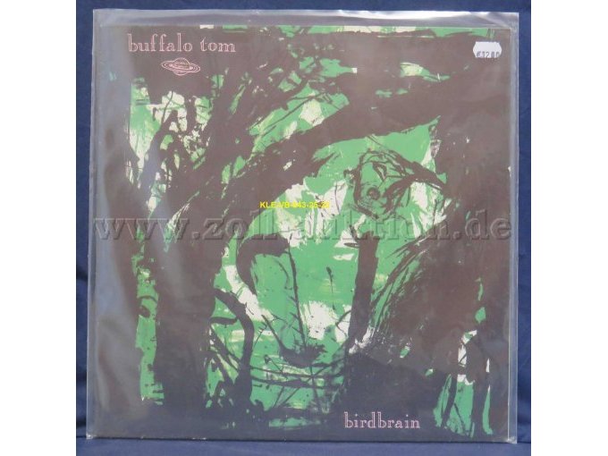 buffalo tom „birdrain“