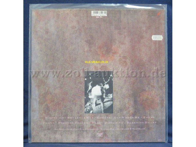 buffalo tom  „birdrain“