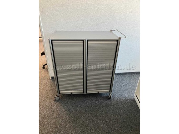 Caddy mit Rollen-1