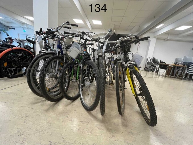 Übersicht Konvolut (von links nach rechts): BeOne, McKenzie, Peugeot, active, Bulls, Noxon, Hercules, unbekannte Marke, Kalkhoff