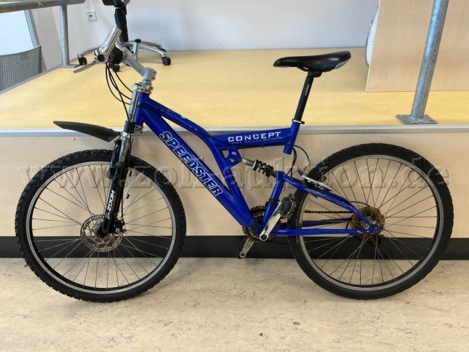 Mountainbike von Speedster