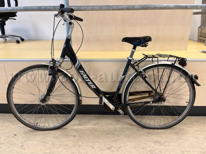 Citybike von Falter