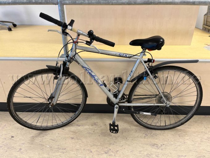 Crossbike von Firebird