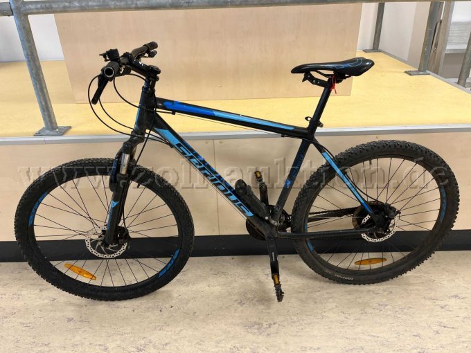 Mountainbike von Serious
