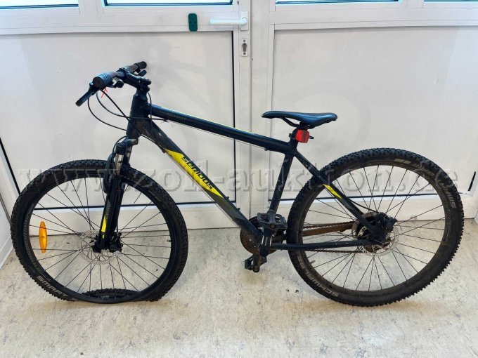 Mountainbike von Serious