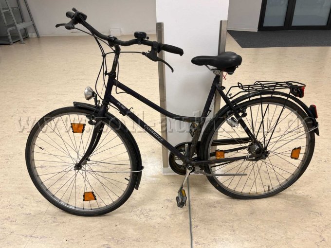 Damen-Rad von Cambridge
