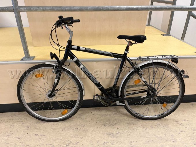 Trekking-Rad von Raleigh