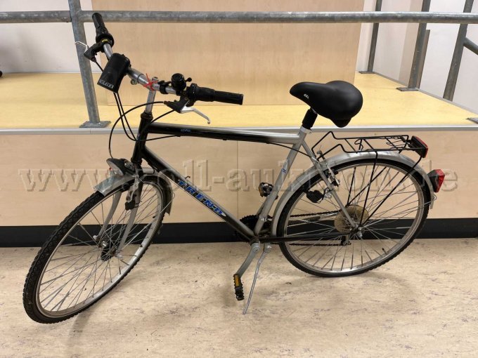 Touren-Rad von Trend