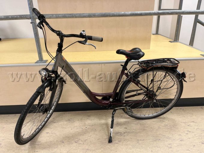 Citybike von Curtis