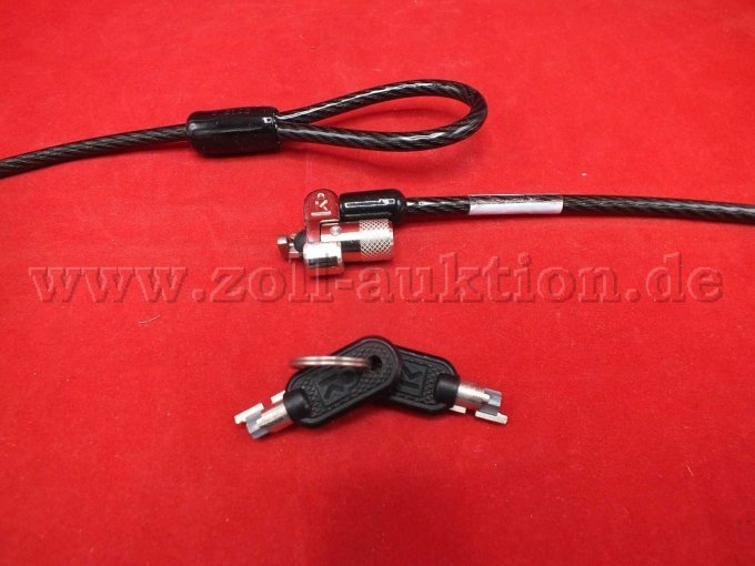 Detailansicht der Befestigungsschlaufe, Schwenk- und drehbares Gelenk und zwei Schlüssel