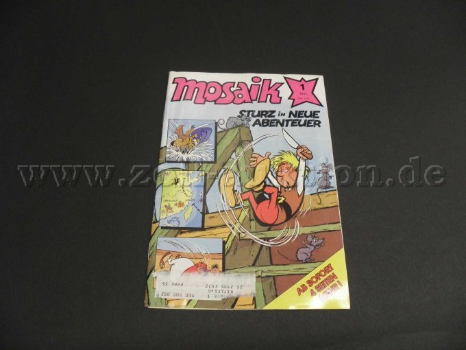 Januar (1/91): Sturz in neue Abenteuer