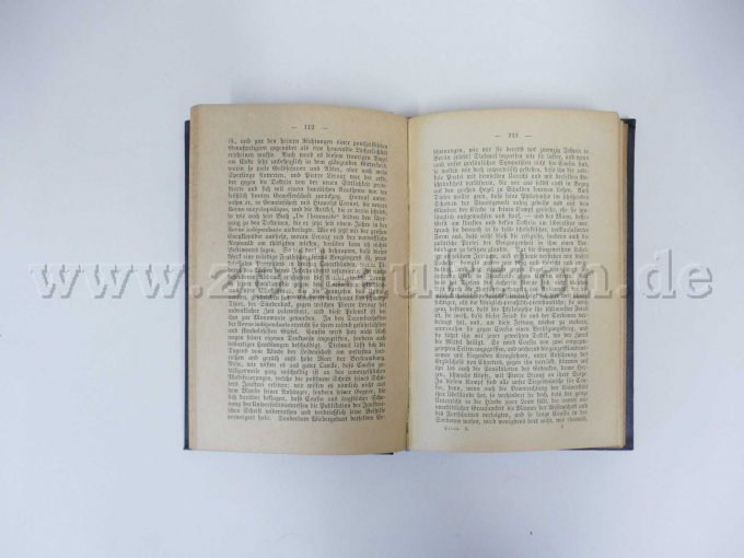 11 antiquarische Bände - Heinrich Heine´s Sämtliche Werke, 1885 – foto 11 – kavel bij Zoll-Auktion, Dresden