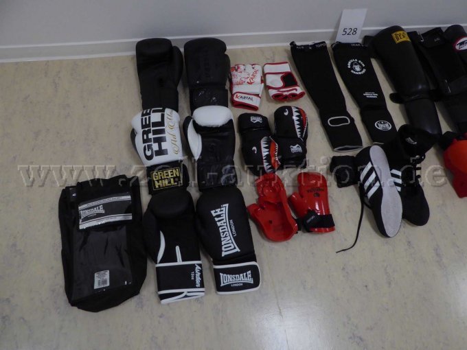 Boxhandschuhe