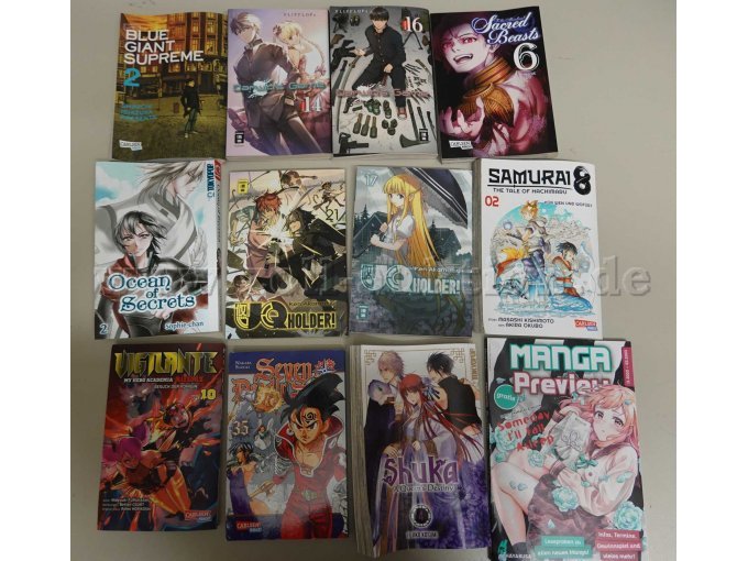 Gesamtansicht von 12 Büchern