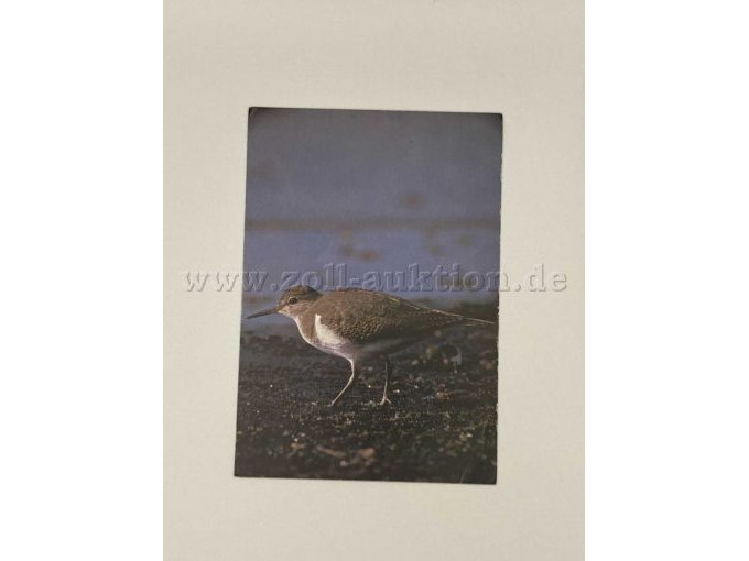 Postkarte 8
Gleiches Motiv wie Postkarte 8