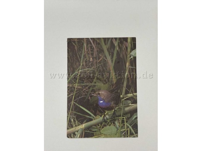 Postkarte 4
Vogel
Gleiches Motiv wie Postkarte 4