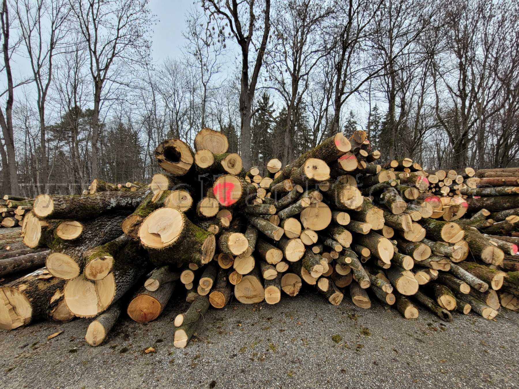 12 Raumeter Mischholz