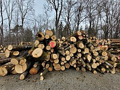 12 Raumeter Mischholz